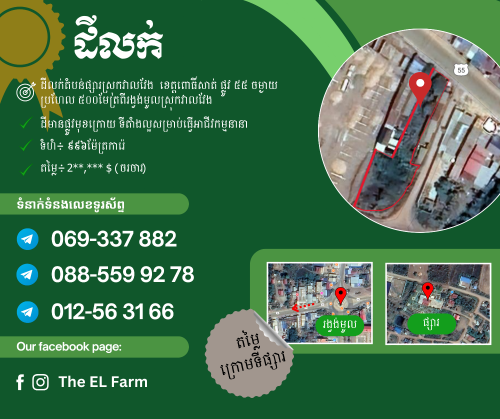 ដីលក់បន្ទាន់