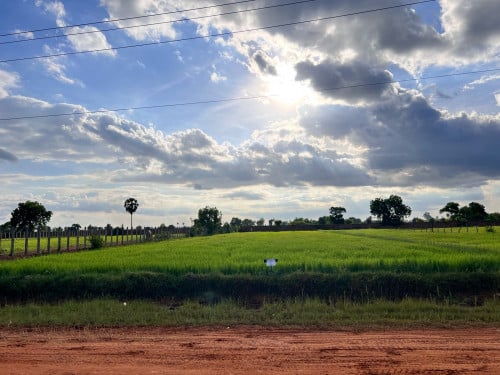 ដីលក់បន្ទាន់