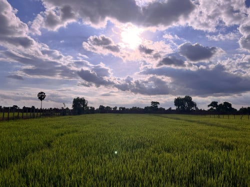 ដីលក់បន្ទាន់