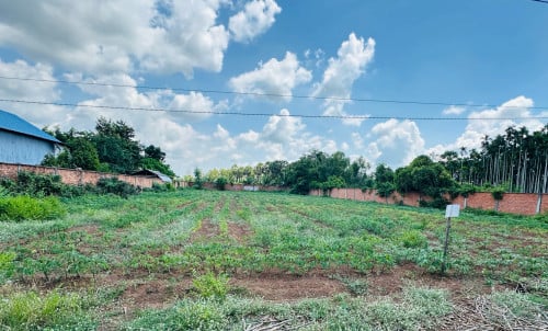 34m×79m 42000 1km ពីផ្សារជាច