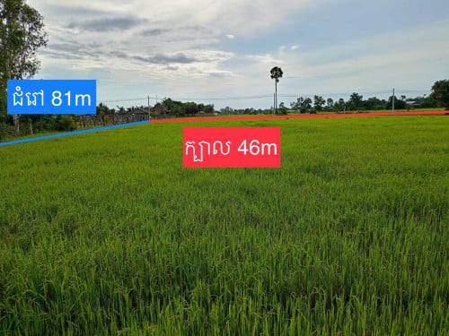ដីលក់ទំហំ 3817m លក់
