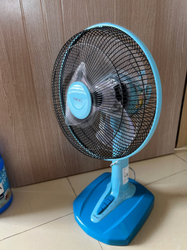 Hatari Fan