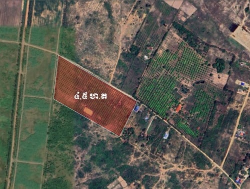 ដីចំការលក់បន្ទាន់ តម្លៃក្រោមទីផ្សារ (ម្ចាស់ផ្ទាល់)