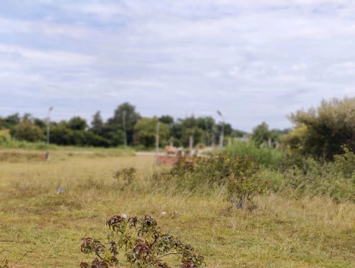 លក់បន្ទាន់ ដីខាងត្បូង1គ.មពី ភ្នំព្រះរាជទ្រព្យ