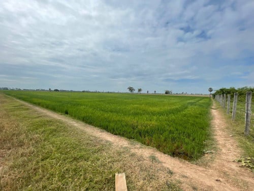 ដីសម្រាប់លក់