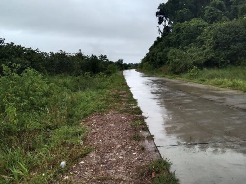 ដីលក់ ជាប់ផ្លូវបេតុង ខ្នងភ្នំគូលេន