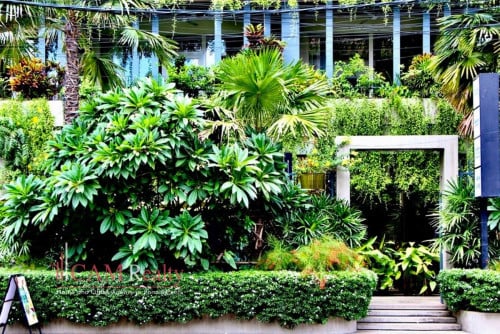 12 Room Hotel For Sale in Toul Kork (Hard title transfer fee is on owner.)