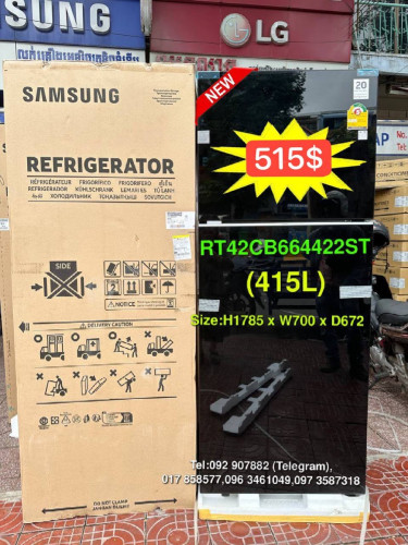 Samsung RT42CB664422ST