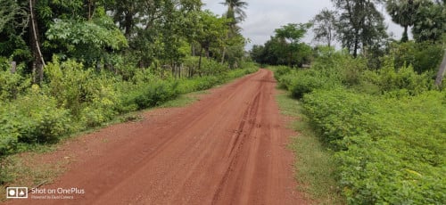 ដីចំការលក់ក្នុងភូមិ បើធ្វើផ្ទះត្រចៀកកាំរឺតតែល្អ