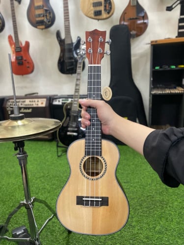 Ukelele 24អុីង