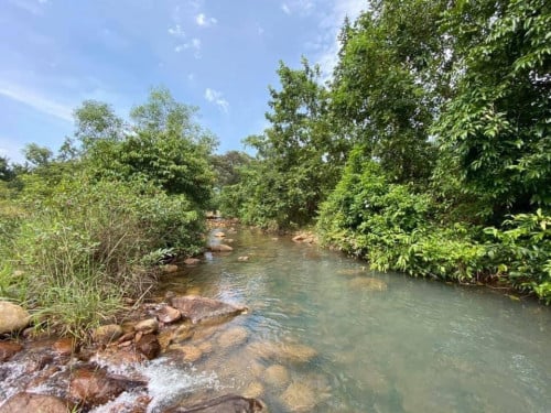 លក់បន្ទាន់មានប្លង់