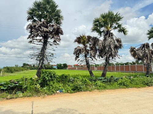 លក់បន្ទាន់ខ្លាំង