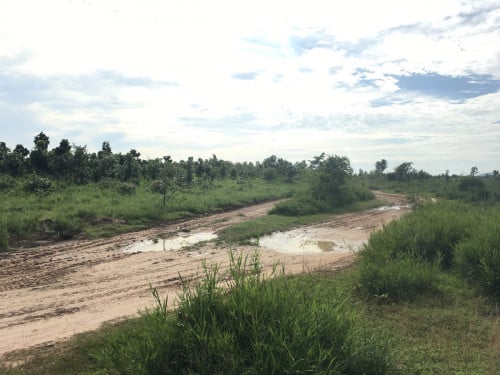 ដីលក់បន្ទាន់5ហត្ថ