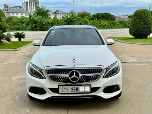 C300 015