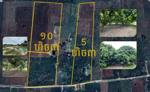 ដីចំការលក់ $10,000