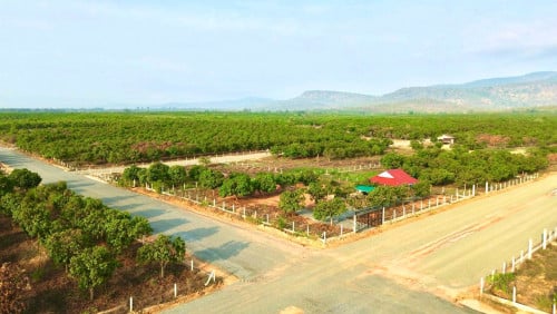 ដីលំហែគីរីរម្យ រំលស់ចាប់ពី 100$ជាង ប៉ុណ្ណោះ