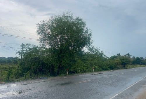 工业用地出售/Land for sale along national road 44 samroung Tong district, Kompong Spue province