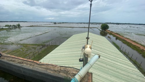 ផ្ទះត្រចៀកកាំលក់នៅខេត្តកំពង់ធំ (ម្ចាស់ផ្ទាល់)