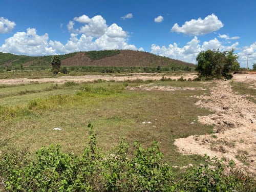 ដីលក់នៅកំពត ស្រុកជុំគីរី