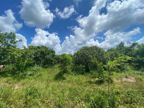 🏦Land for Urgent sale (Negotiable), ABA Loan Available