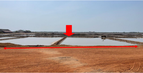 🏠 អចលនទ្រព្យ លក់ឡាយឡុង (Auctioned Properties) 🏷