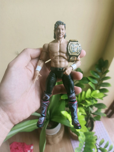 WWE AEW Figure