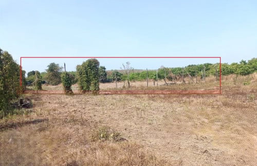 🏠 អចលនទ្រព្យ លក់ឡាយឡុង (Auctioned Properties) 🏷