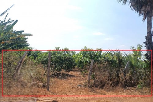 🏠 អចលនទ្រព្យ លក់ឡាយឡុង (Auctioned Properties) 🏷