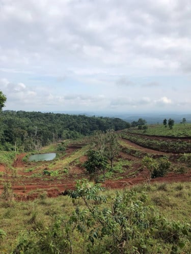 ដីលក់ ក្រុងសែនមនោរម្យ មណ្ឌលគីរី