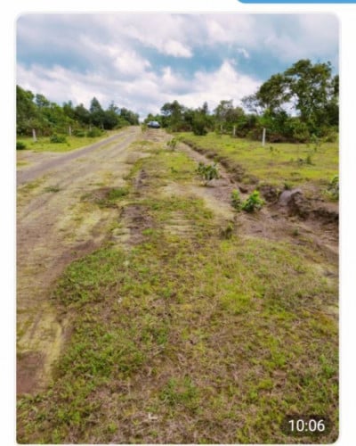 ដីលក់បន្ទាន់