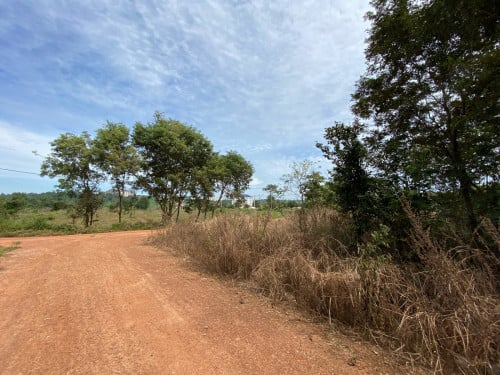 ដីអូរស្មាច់ (ប្លង់រឹង)