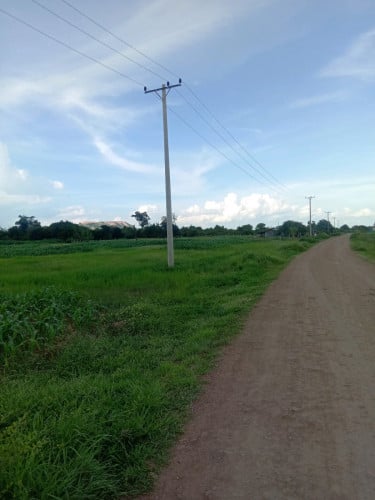 ដីមានលក់បន្ទាន់