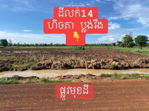 ដំចំការលក់ធូរៗនៅលេីផ្លូវ30មស្រុកស្វាយលេីខេត្តសៀមរាប