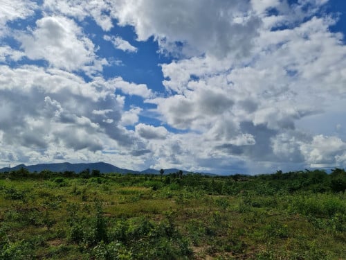 ដីលក់សម្រាប់រោងចក្រផ្លូវកៅស៊ូ៥០ម៉ែត្រ នៅស្រុកឱរ៉ាល់(ផ្លូវ១៤២)