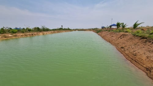 លក់ដីចំការក្នុងភូមិ