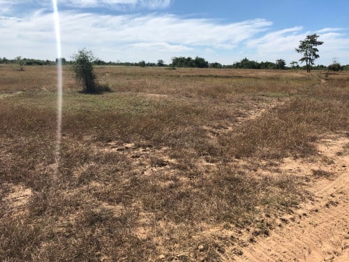 ដីលក់ឃុំជើងរាស់ ខេត្តកំពង់ស្ពឺ