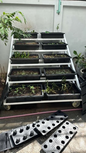 ធ្នើរដែកដាំផ្កា/Flower Shelf 😍🌶🥕🌹