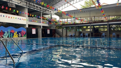 Swim lesson with freelance coach
