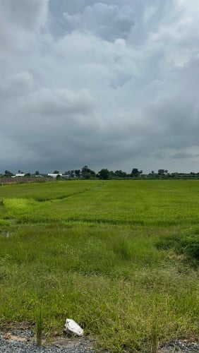 ដី ក្បាល 50m បណ្ដោយ 220m