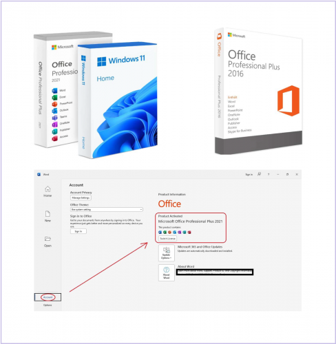 Microsoft Office & Windows Lifetime License