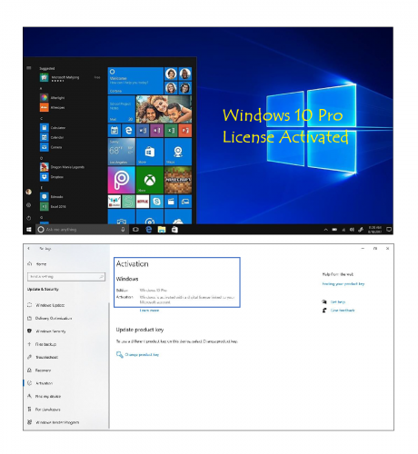 Microsoft Office & Windows Lifetime License