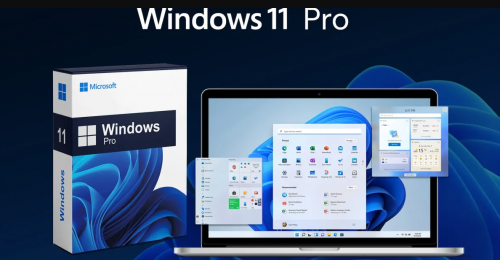 Microsoft Office & Windows Lifetime License