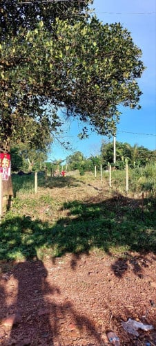 ដីប្លង់រឹង 5mx25m លក់តម្លៃ $22,500 លក់ខាត ប្រញាប់លុយ