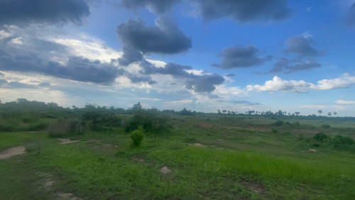 ដីលក់ស្ថិតនៅជិតផ្លូវ,ជាតិលេខ44 ក្រុងច្បារមន ខេត្តកំពង់ស្ពឺ/Land for Sale Good For Factory
