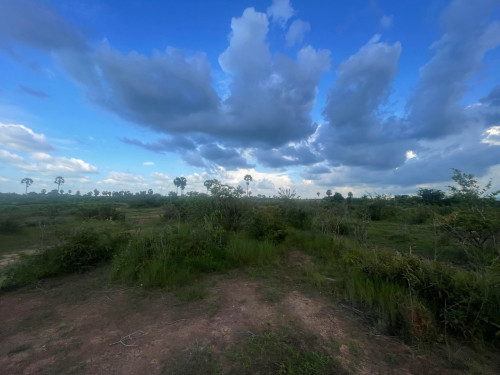 ដីលក់ស្ថិតនៅជិតផ្លូវ,ជាតិលេខ44 ក្រុងច្បារមន ខេត្តកំពង់ស្ពឺ/Land for Sale Good For Factory