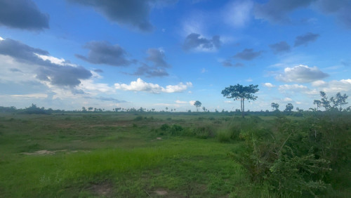 ដីលក់ស្ថិតនៅជិតផ្លូវ,ជាតិលេខ44 ក្រុងច្បារមន ខេត្តកំពង់ស្ពឺ/Land for Sale Good For Factory