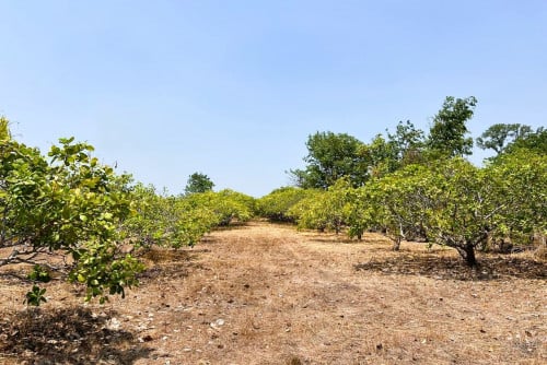 🏦Land for Urgent Sale (Negotiable), ABA Loan Available