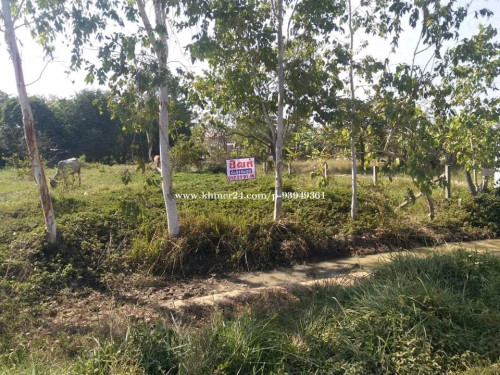 ដីលក់ទីតាំងជាប់ផ្លូវធំ