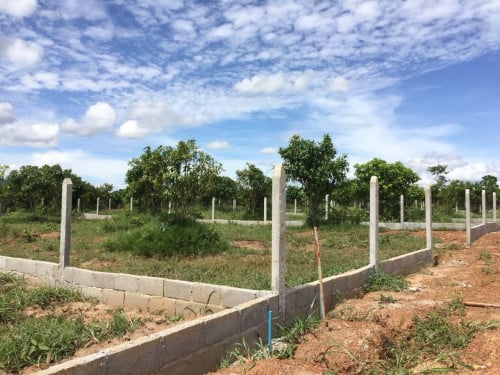ដីលំហែរប្លង់រឹង 15x30m លក់បន្ទាន់