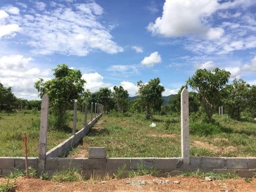 ដីលំហែរប្លង់រឹង  15x30m លក់បន្ទាន់